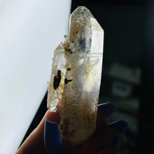 Load image into Gallery viewer, Blue Smoke Lemurian with Penetrators C
