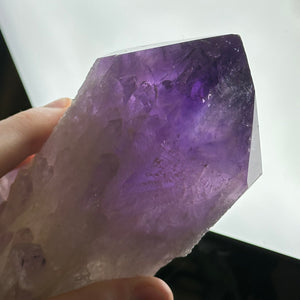 1lb5oz Top-Polished Amethyst Root (imperfect tip)