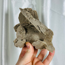 Load image into Gallery viewer, XL Desert Rose Specimen (11oz)
