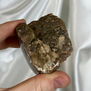 Gem Dinosaur Bone Specimen B