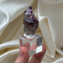 Load image into Gallery viewer, Shangaan Amethyst Sceptar with Enhydros
