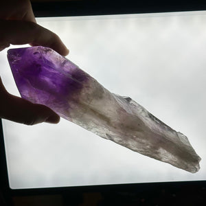 XL Amethyst Root