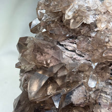 Load image into Gallery viewer, XXL Smoky Quartz with Lodolite on Stand 3lb 14.8oz
