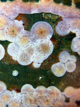 Load image into Gallery viewer, Kabamby Ocean Jasper Palmstone D
