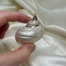 Load image into Gallery viewer, Pearlized Turbo Shell Pendant C
