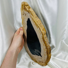Load image into Gallery viewer, XL Petrified Wood Polished Slab B (3lb15oz)
