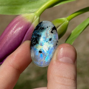 7.8g AA Grade Rainbow Moonstone with Black Tourmaline Inclusions Cabochon