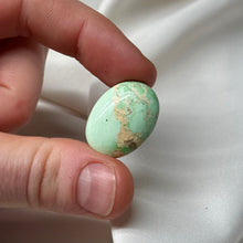 Load image into Gallery viewer, Rare! Utah Variscite Mini Palm B
