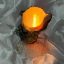 Load image into Gallery viewer, Seashell Lamp
