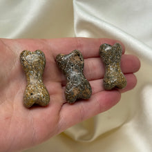 Load image into Gallery viewer, Gem Dino Bone Bone-Shaped Carvings
