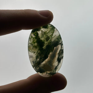 Moss Agate Cabochon A