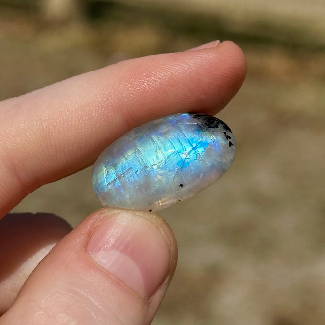 4.9g AA Grade Rainbow Moonstone with Black Tourmaline Inclusions Cabochon