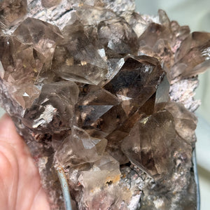 XXL Smoky Quartz with Lodolite on Stand 3lb 14.8oz