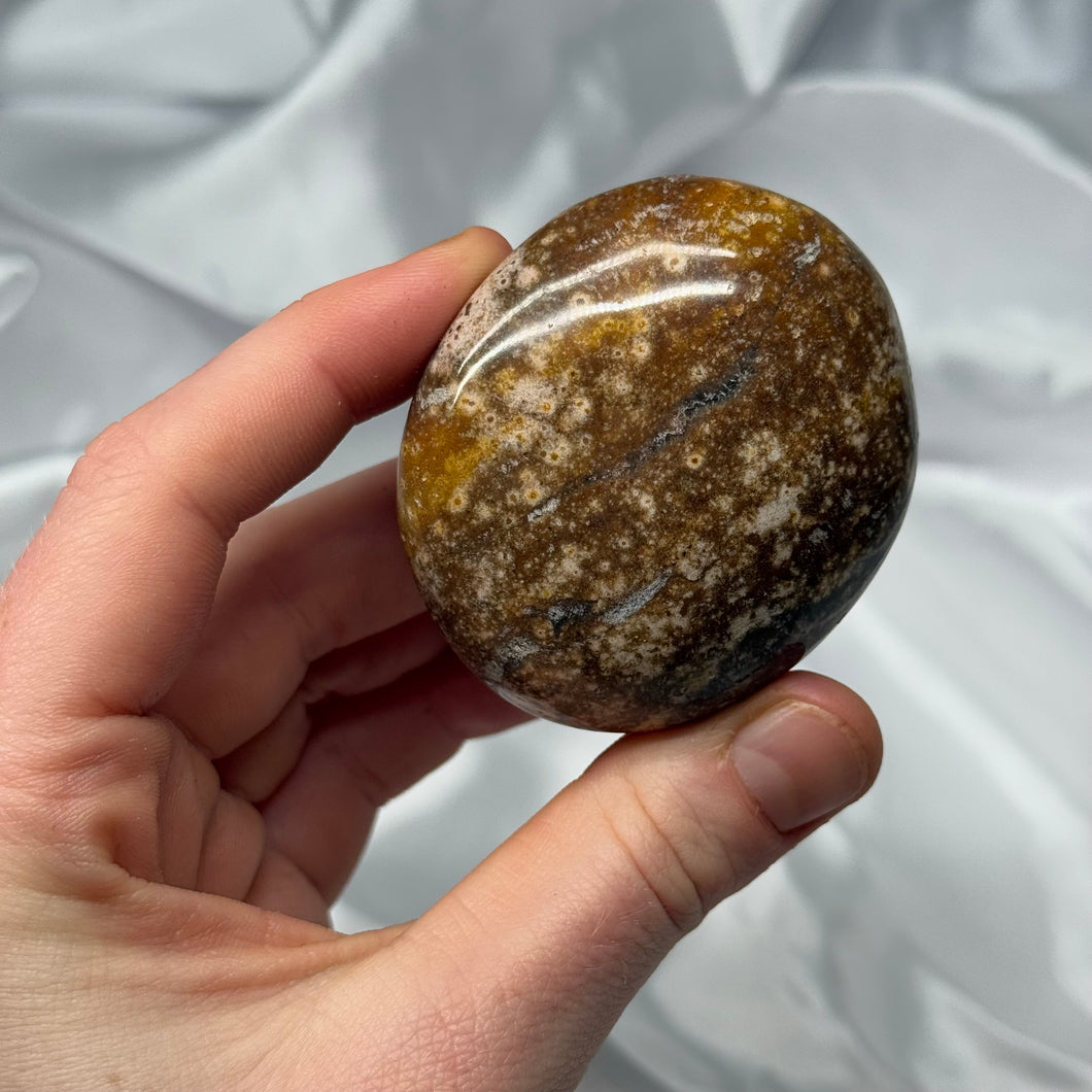 Sea Jasper Palmstone F