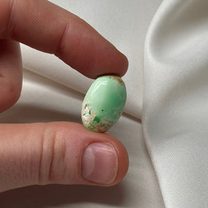 Rare! Utah Variscite Mini Palm A
