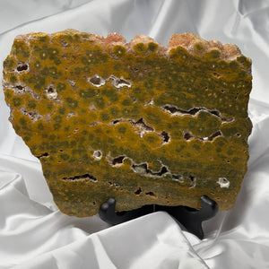 XL Funky Sea Jasper Druzy Slab
