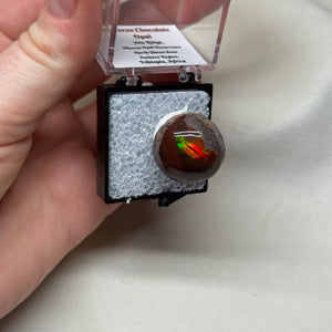 Chocolate Opal A