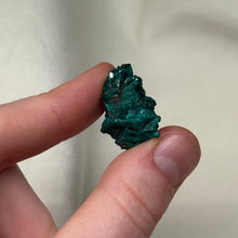 Load image into Gallery viewer, Dioptase Cluster I
