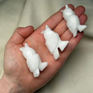 Quartz Owl Carvings Pt2 (Choose Your Own!)