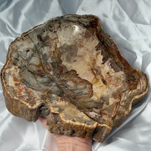Load image into Gallery viewer, XXL Petrified Wood Bowl/Basin
