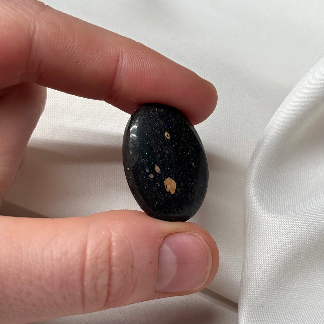 Rare! Honduras Black Opal Mini Palm A