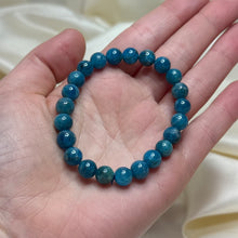 Load image into Gallery viewer, Flashy Blue Apatite Stretch Bracelets size 6
