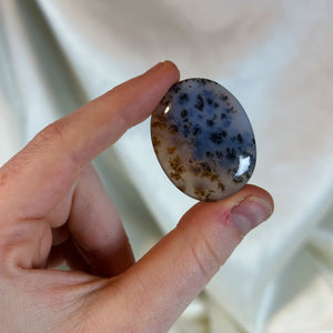 Bi-Color Dendritic Opal Pocket Palm A