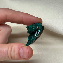 Load image into Gallery viewer, Dioptase Cluster C
