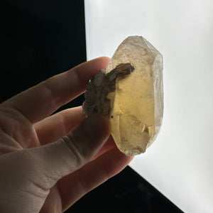 Unpolished 5oz Raw Honey Citrine with Golden Mica