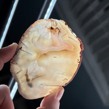 Load image into Gallery viewer, Swazi Rose Agate C
