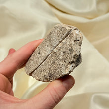 Load image into Gallery viewer, Indonesian Agate Pair B
