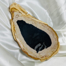 Load image into Gallery viewer, XL Petrified Wood Polished Slab A (3lb 8oz)
