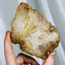 Load image into Gallery viewer, Fossilized Coral Slab with stand
