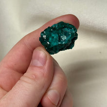 Load image into Gallery viewer, Dioptase Cluster D
