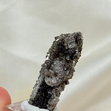 Load image into Gallery viewer, RARE Smoky Quartz on Petrified Wood Specimen from Arizona
