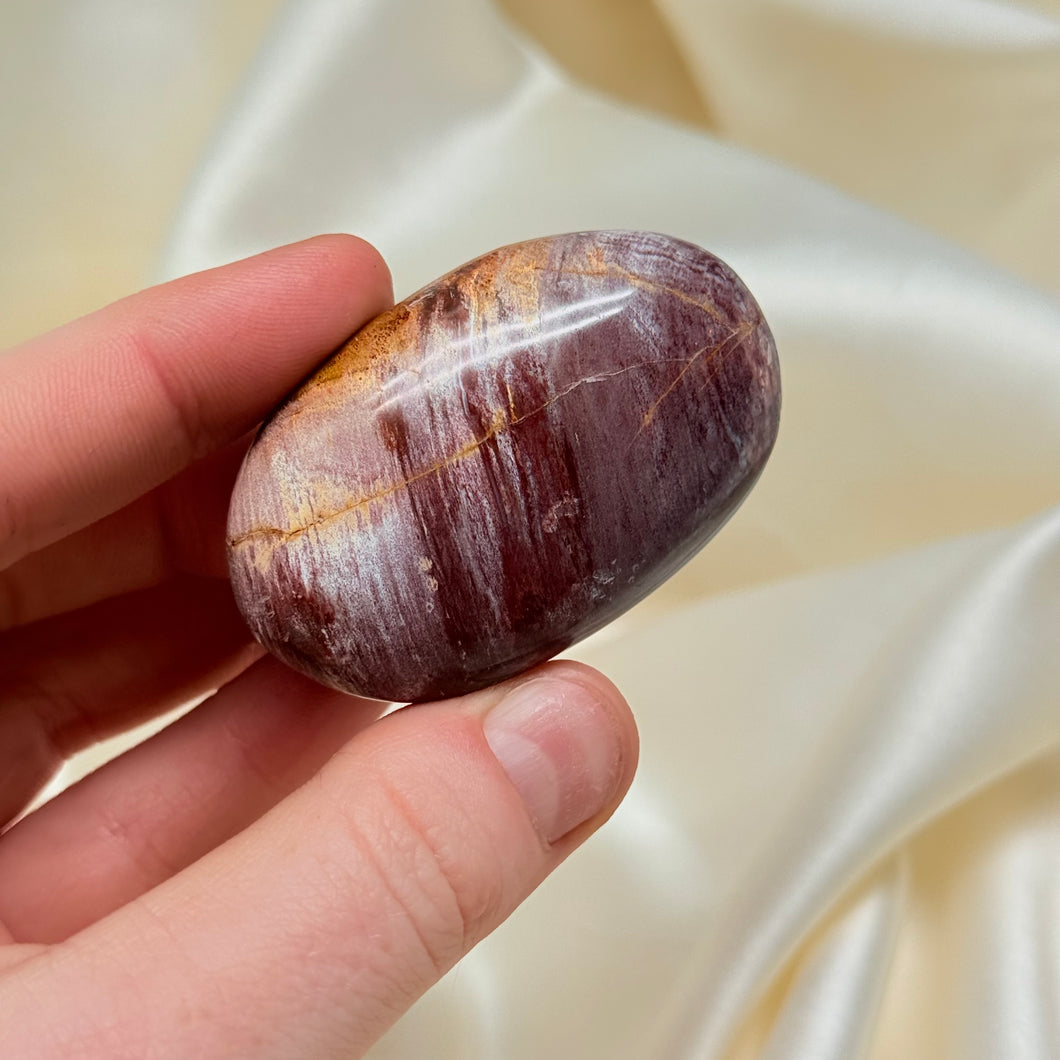 Petrified Wood Palmstone B