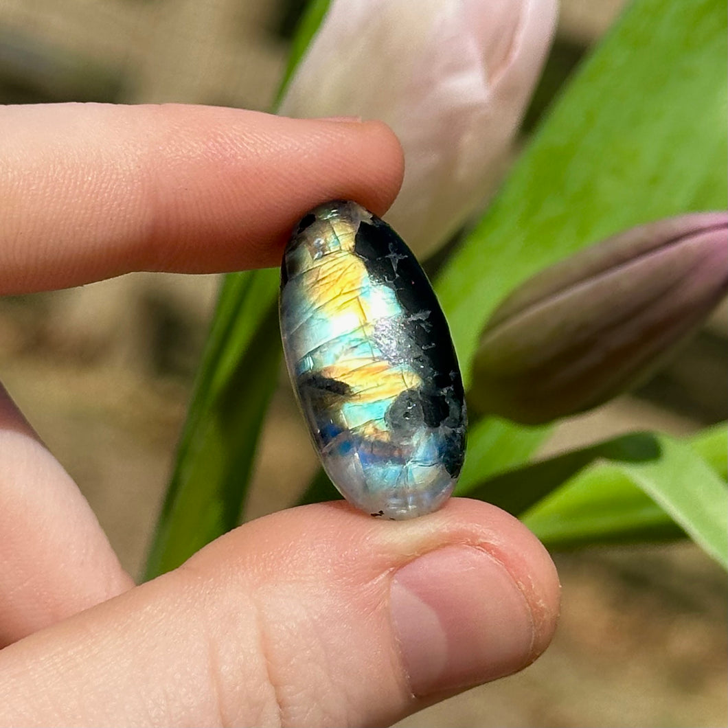 5.2g AA Grade Rainbow Moonstone with Black Tourmaline Inclusions Cabochon