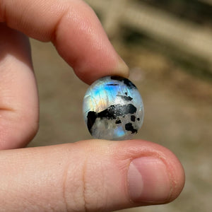 3.2g AA Grade Rainbow Moonstone with Black Tourmaline Inclusions Cabochon