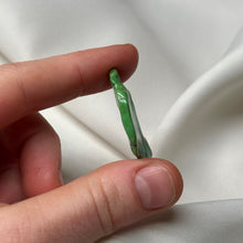 Load image into Gallery viewer, Mexican Turquoise Specimen D
