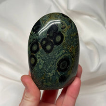 Load image into Gallery viewer, Eyeball Kambaba Jasper Freeform
