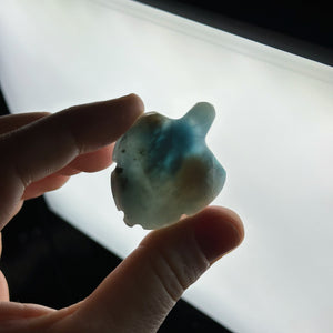 “Cotton Candy” Bi-Color Larimar Turtle Carving