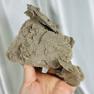 XL Desert Rose Specimen (11oz)