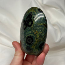 Load image into Gallery viewer, Eyeball Kambaba Jasper Freeform
