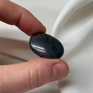 Sapphire Palm B