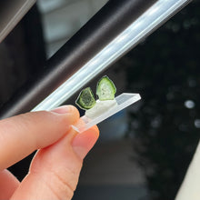 Load image into Gallery viewer, Green Tourmaline Slice Pair D
