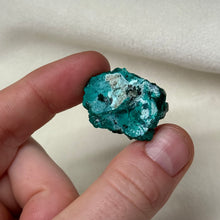 Load image into Gallery viewer, Dioptase Cluster D
