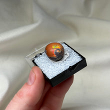 Load image into Gallery viewer, Chocolate Opal E
