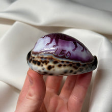 Load image into Gallery viewer, Purple Cowrie with Painted Leo Zodiac Design
