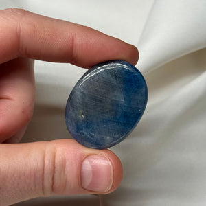Incredible Blue Sapphire Palm