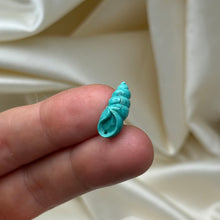 Load image into Gallery viewer, High Quality American Turquoise Shell Carving
